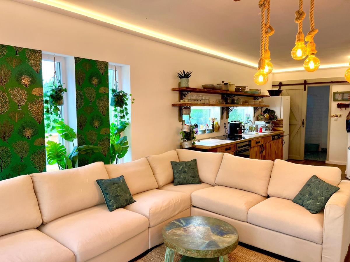 Bohemian Eco Lodge Kisapati Ngoại thất bức ảnh